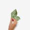 RoomMates Leaf Twig Peel & Stick Giant Wall Decals